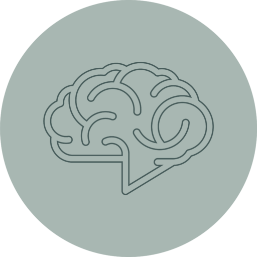 cropped-Favicon-Breinwijzers.png