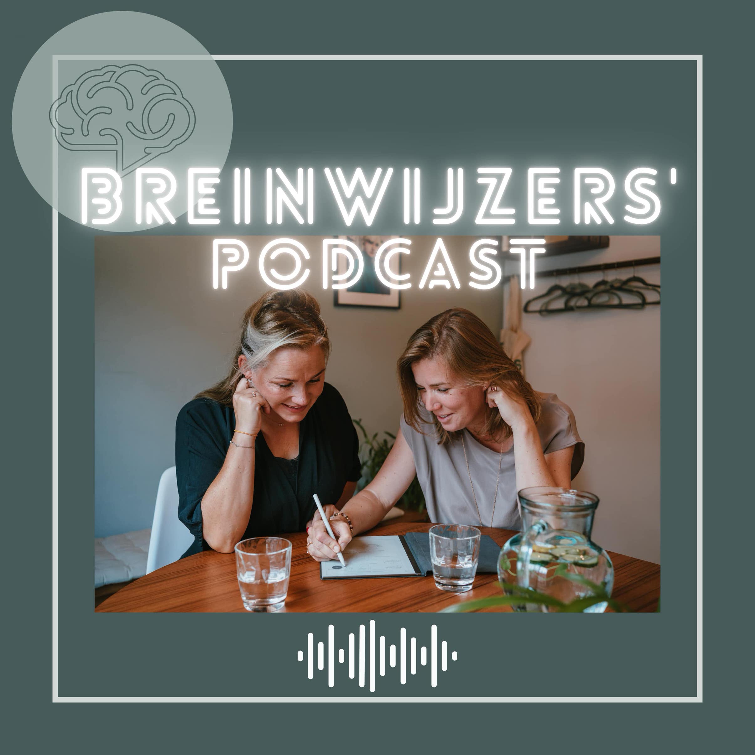 Podcast Breinwijzers Casuistiek in Begrijpelijke Taal